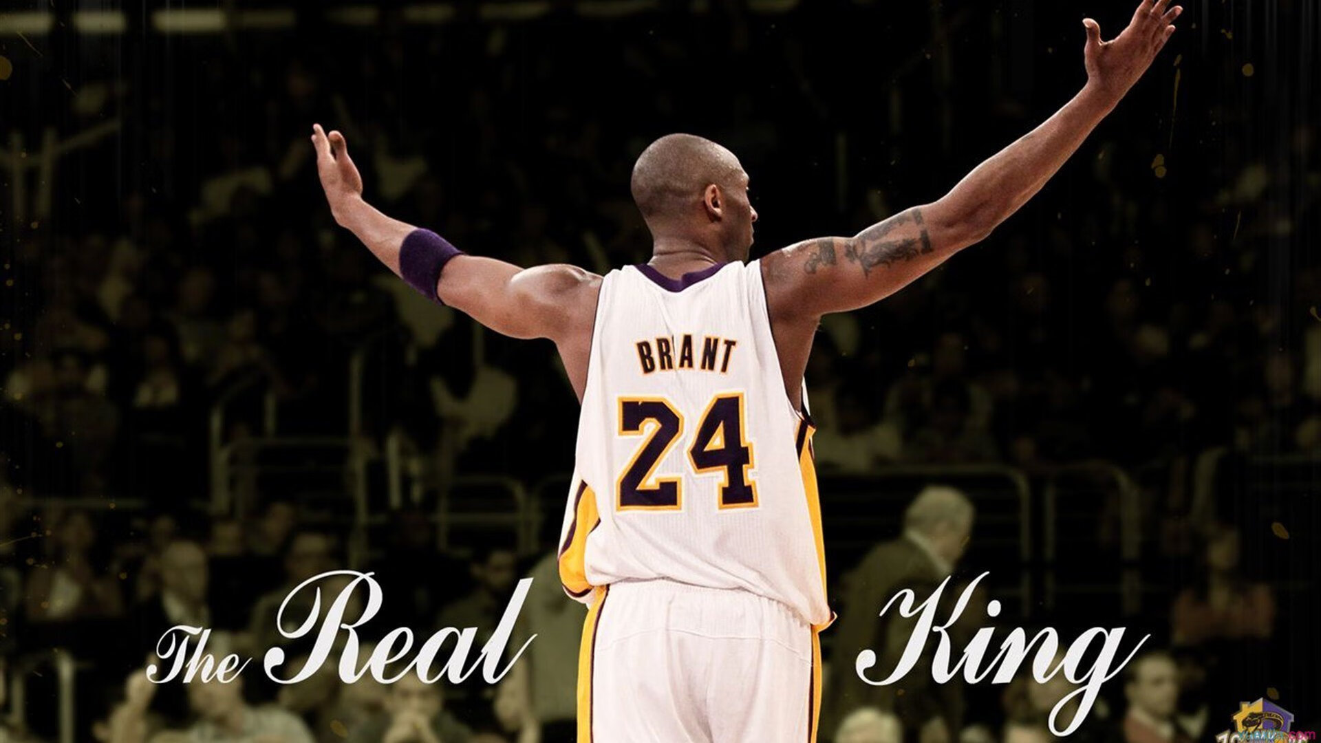 世界排名争夺战之夜，乔治打出生涯之夜